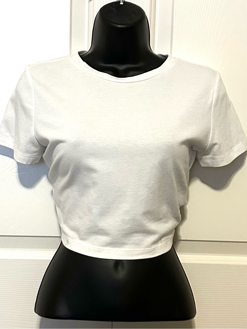 wild fable White Cropped Crewneck Tee
